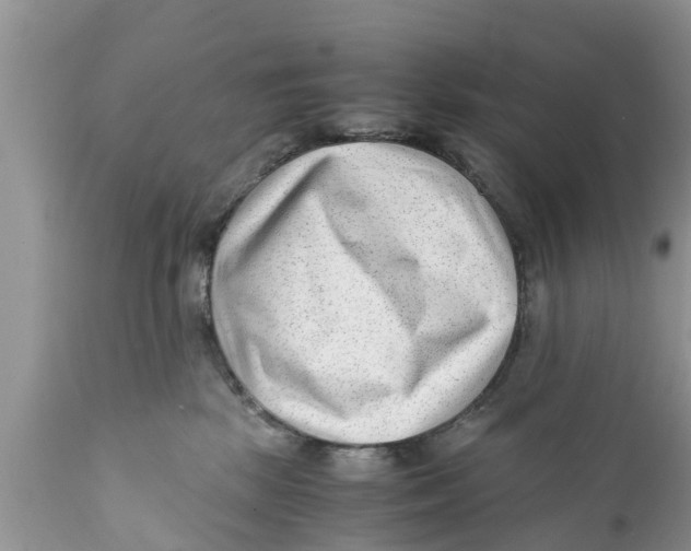 X0000111920281200908171331