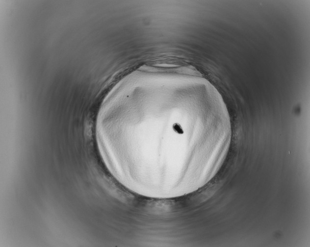 X0000111920282200908171331