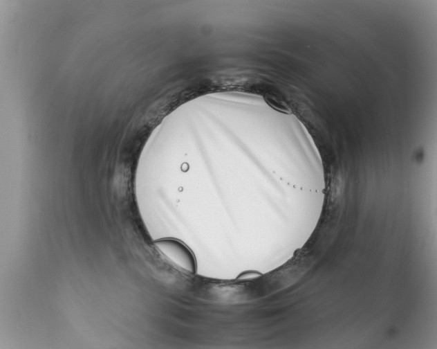 X0000111920283200908171331