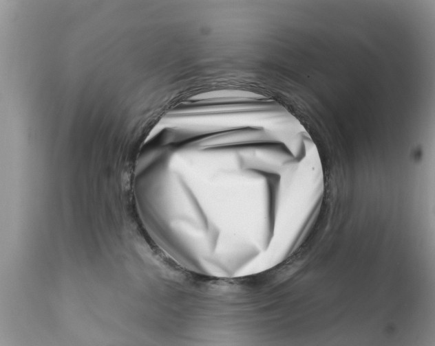 X0000111920284200908171331