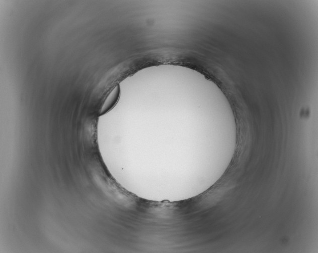 X0000111920288200908171331