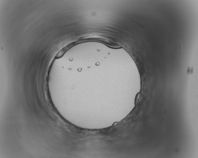 X0000111920289200908171330