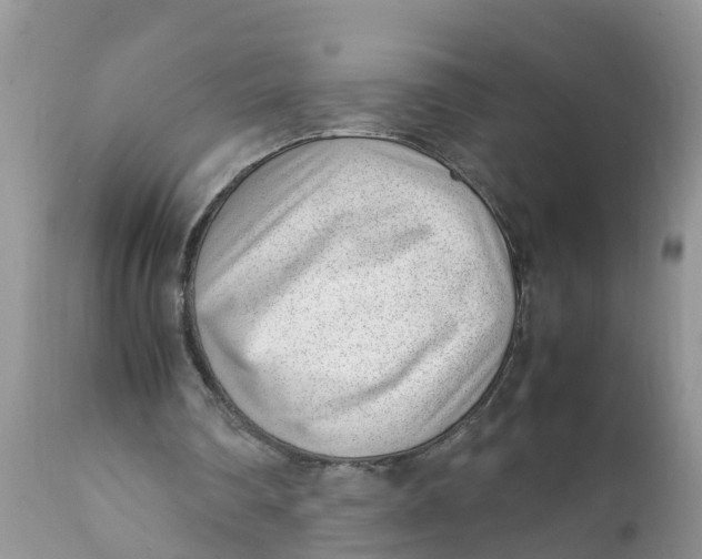 X0000111920290200908171330