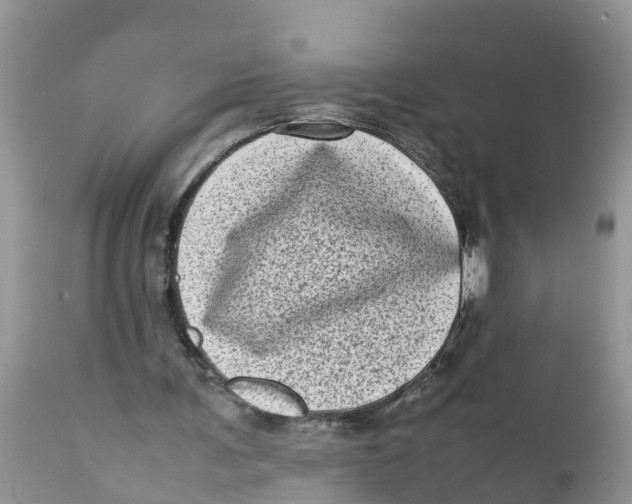 X0000111920291200908171330