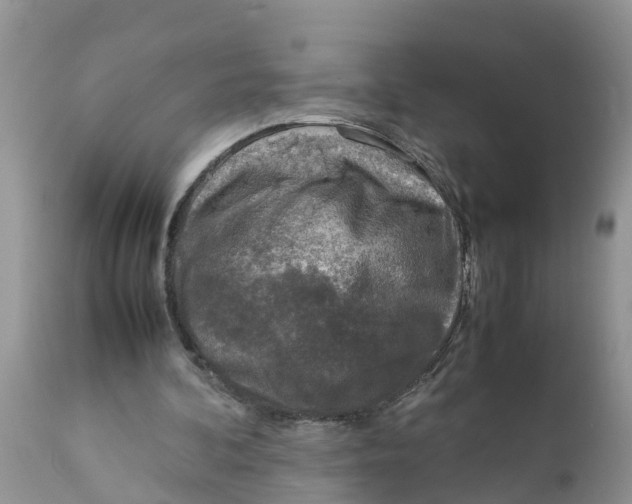 X0000111920292200908171330