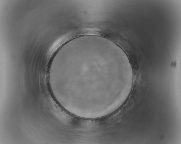 X0000111920293200908171330