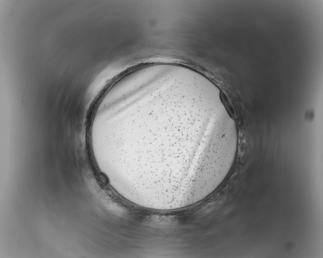 X0000111920296200908171330