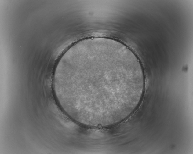 X0000111920297200908171330