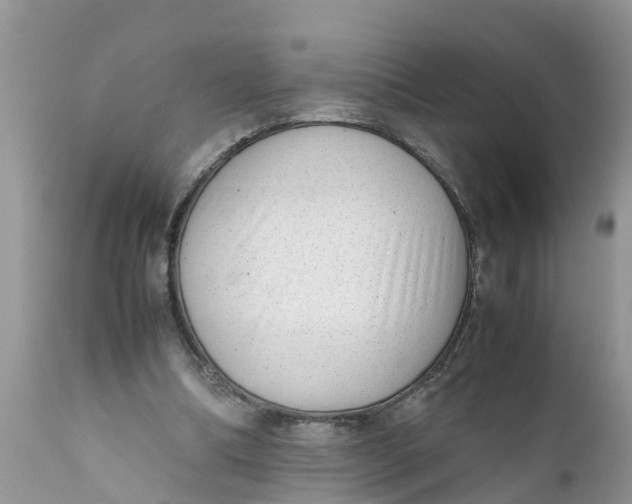 X0000111920298200908171330