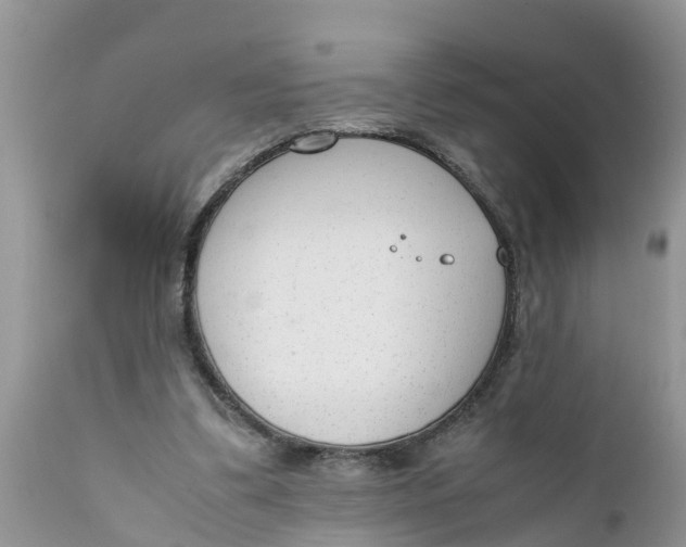 X0000111920299200908171330