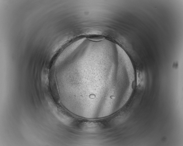 X0000111920300200908171330