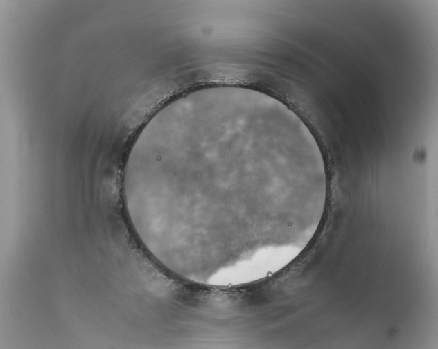 X0000111920305200908171330