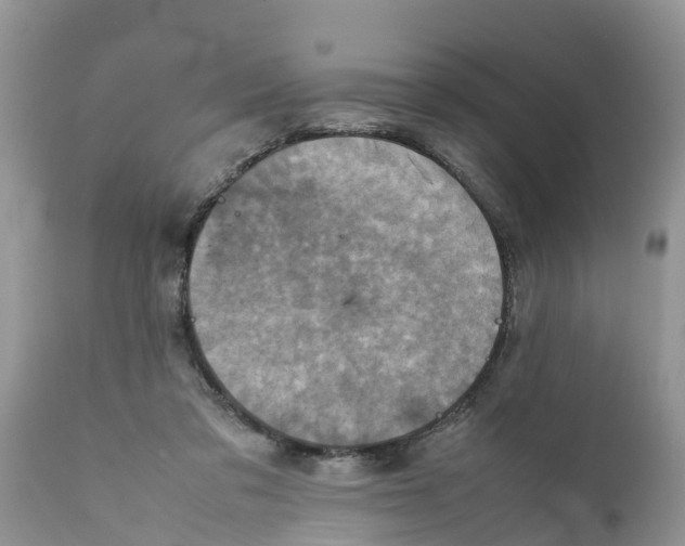 X0000111920309200908171330