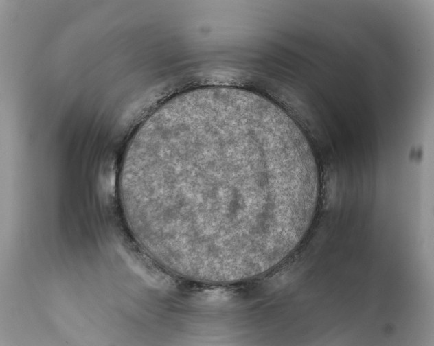 X0000111920310200908171330