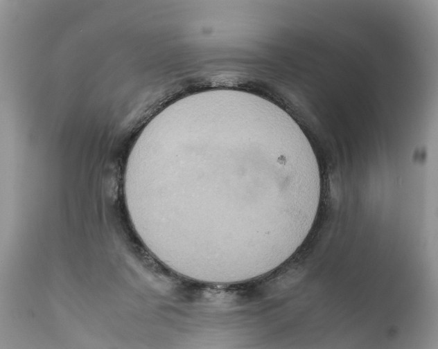 X0000111920311200908171330