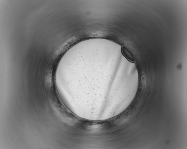 X0000111920312200908171330