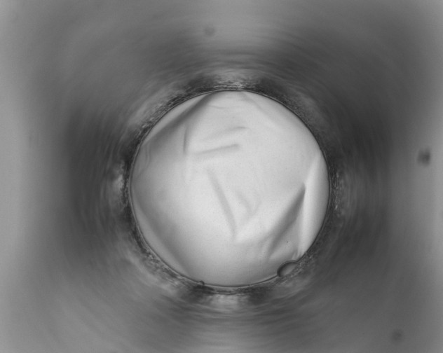 X0000111920314200908171330