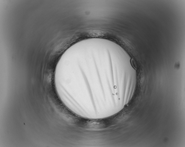 X0000111920315200908171330