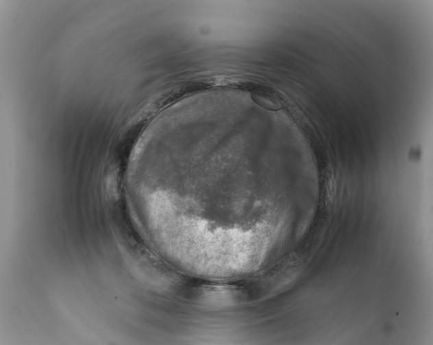 X0000111920316200908171330