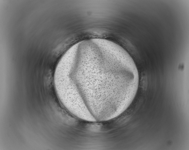 X0000111920318200908171330