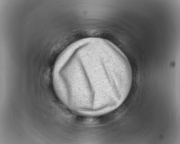 X0000111920319200908171330