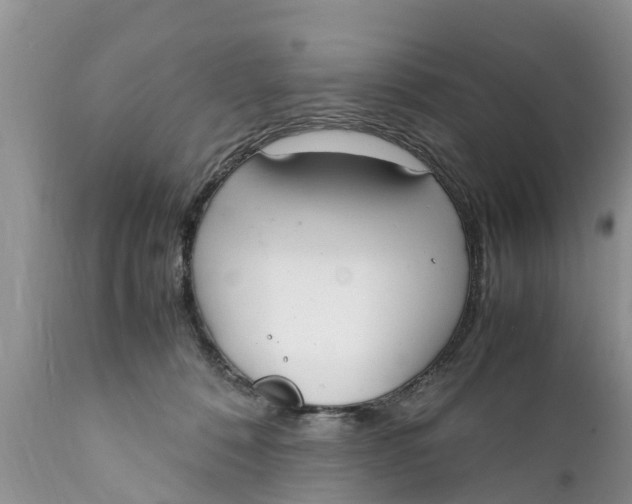 X0000111920320200908171330