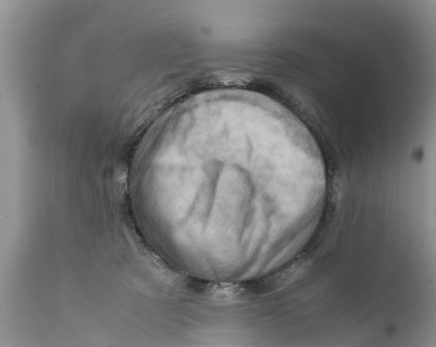 X0000111920321200908171330