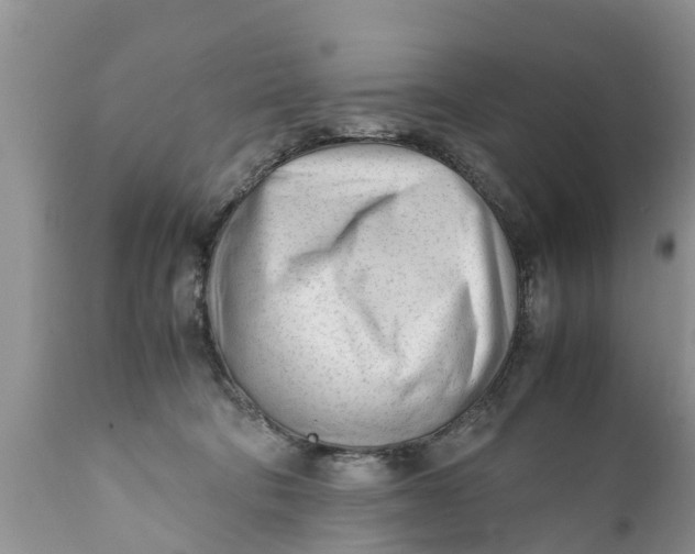 X0000111920322200908171330