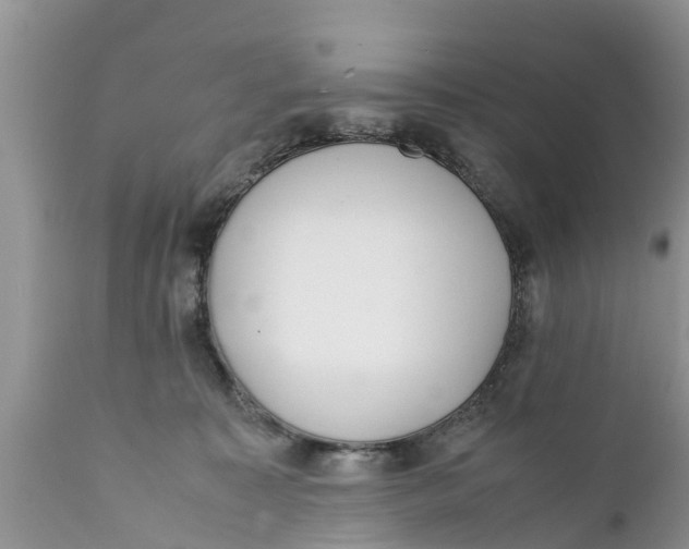 X0000111920323200908171330