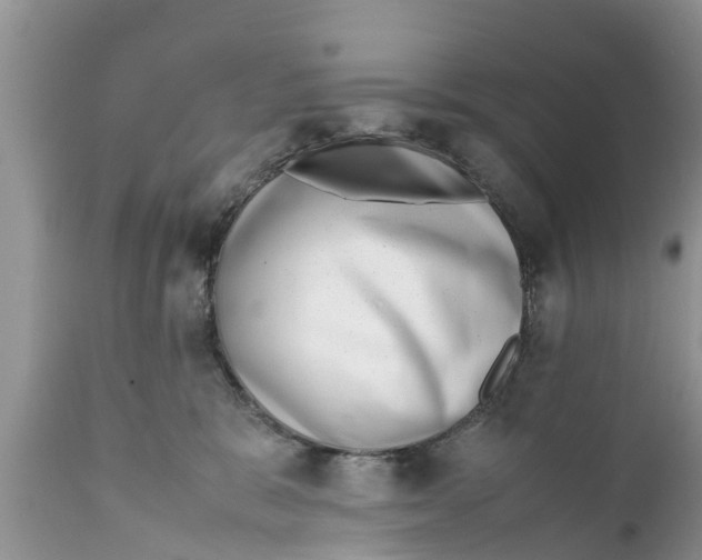 X0000111920327200908171330