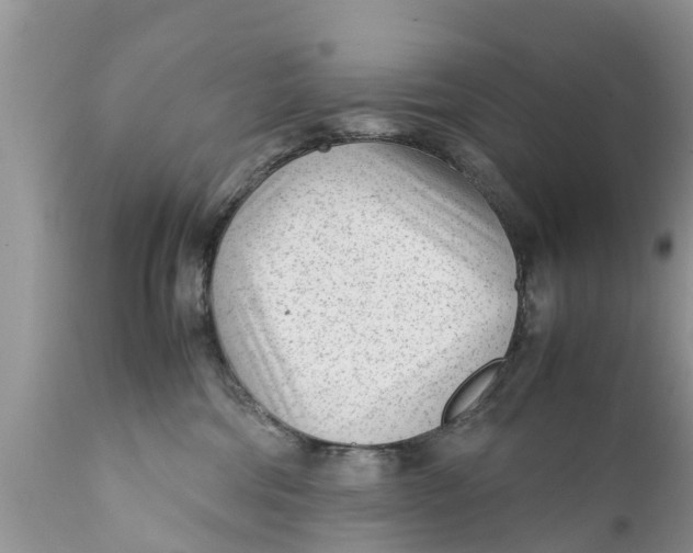 X0000111920330200908171330