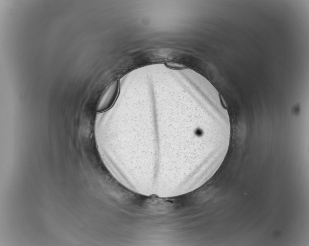 X0000111920331200908171330