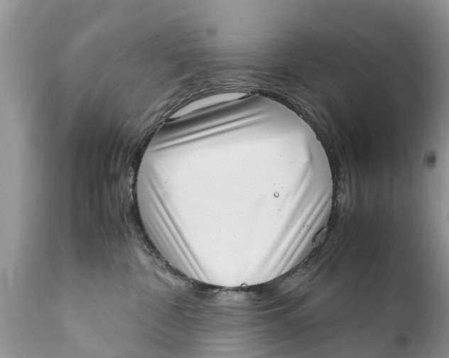 X0000111920332200908171330