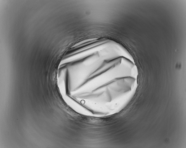 X0000111920336200908171330