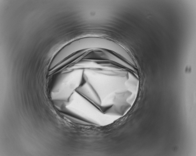 X0000111920337200908171329