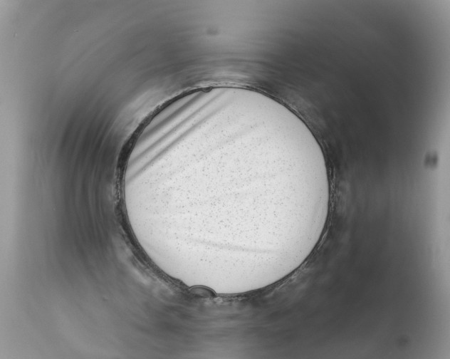 X0000111920338200908171329