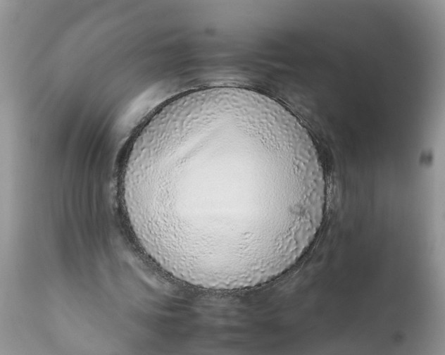 X0000111920339200908171329