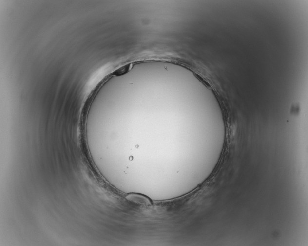 X0000111920340200908171329