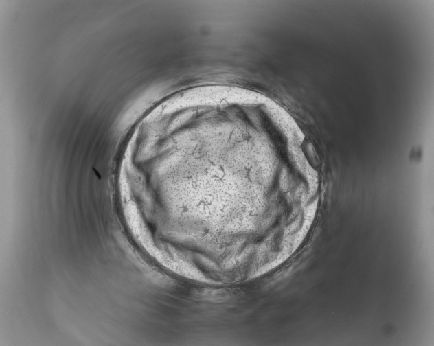 X0000111920341200908171329