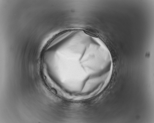 X0000111920342200908171329