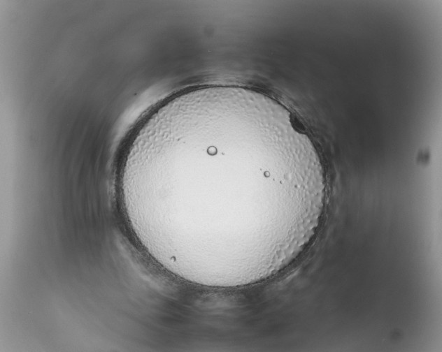 X0000111920343200908171329