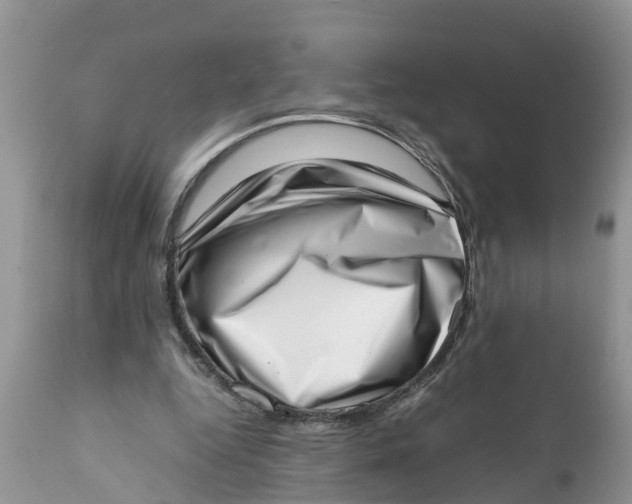 X0000111920344200908171329