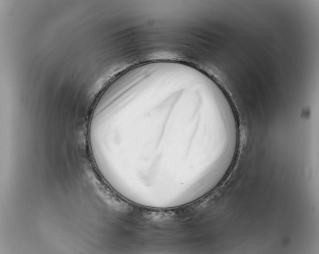 X0000111920345200908171329