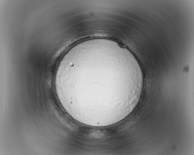 X0000111920347200908171329