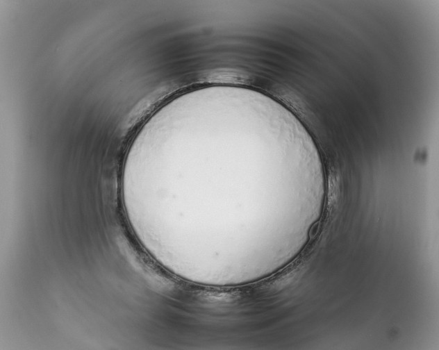 X0000111920349200908171329