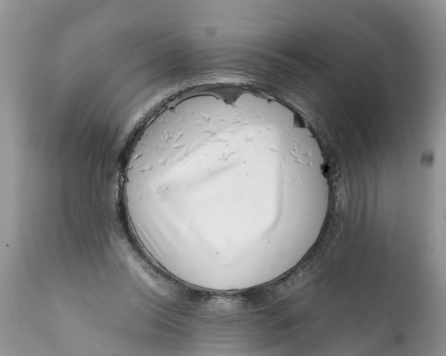 X0000111920350200908171329