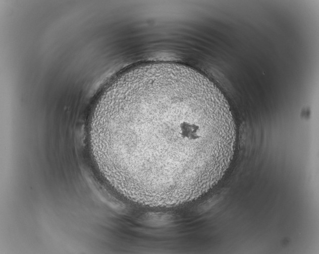 X0000111920351200908171329