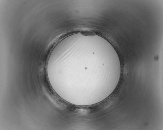 X0000111920352200908171329