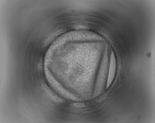 X0000111920353200908171329