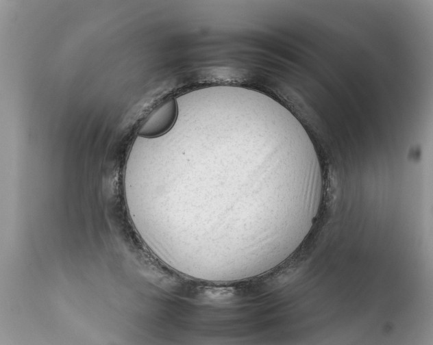 X0000111920355200908171329